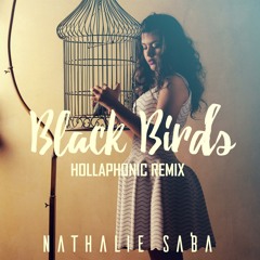 Black Birds (Hollaphonic Remix)