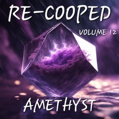 RE-COOPED VOLUME 12 - AMETHYST
