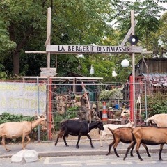 La Bergerie Des Malassis