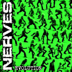 THE NERVES - Evolution