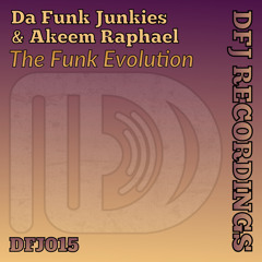 Da Funk Junkies & Akeem Raphael - The Funk Evolution