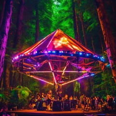 Mystical Forest Live @ No Name (2024) [Progressive Psytrance]