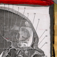 I.Y.L.G.Y.H.C.T.T.R.P. (ifyoulikegroovesyouhavecometotherightplace)