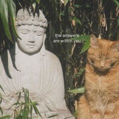 lilblessme - philosopher freestyle xd 111