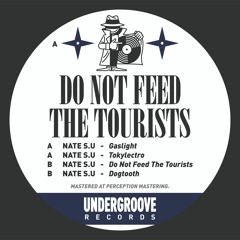 Nate S.U - Gaslight