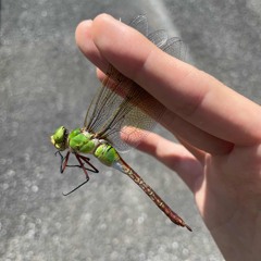 深すぎるブンパップ