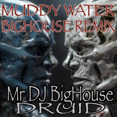Muddy Water (Mr DJ BigHouse/Druid)
