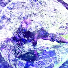 SAD MEAL (8PR19HT MIX)