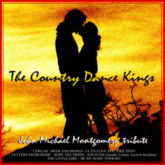 Sold - The Grundy County Auction Incident