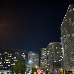 花瓶の花 - 石崎ひゅーい