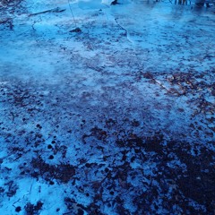 it's a new dawn in st louis