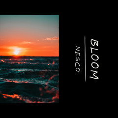 Nesco - Bloom