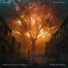 ILLENIUM , Skylar Grey - From The Ashes (Tweellve Remix)