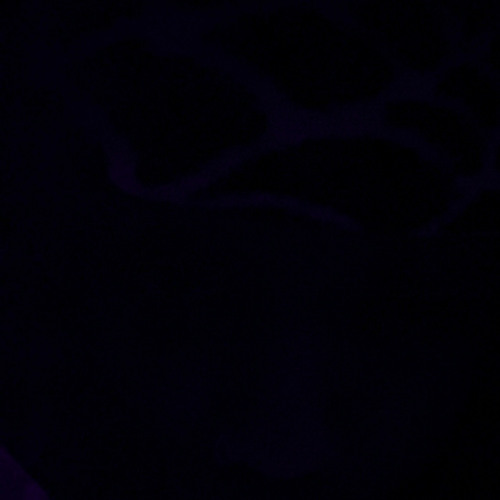 ouu ouu (GuapŚtarKappa)