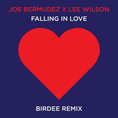 Joe Bermudez x Lee Wilson - Falling In Love (Birdee Remix)