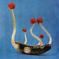 [TOUTOUÏE!] Laurent Millet "Former l'hypothèse" — Louise, Lys-Marie et Yaël