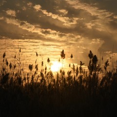 تفسير جزء عم.