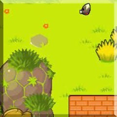 Overtoad Flower Plains