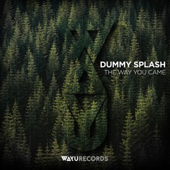 Dummy Splash - Up (Original Mix)