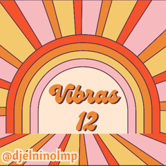 DJ El Niño Presenta Vibras 12 (Ojitos Lindos, Gran Dia, Contracciones, Diamante, Funk, Nu Disco)