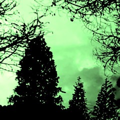 Caligo Paean (Isolation and Wonder)