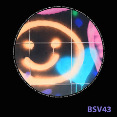 BSV43 - Don Vito (IT) - Parallel Universe (Original Mix) -> SNIPPET