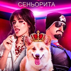САНТЕХНИК - Собачка знаменита