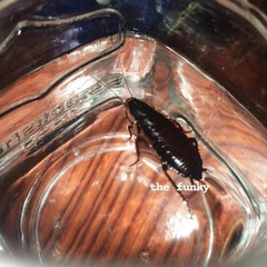 chil a (ft. cultclassc & juaimah)