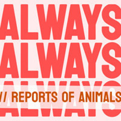 Reports of Animals (Fawm 25 Demo)