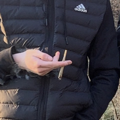 Cheerleader donktune