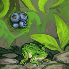 Blueberries and frogs (444/528htz healing deep house)