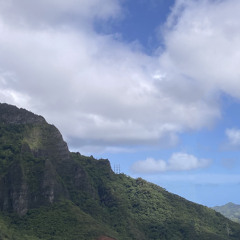 i made this on the bus