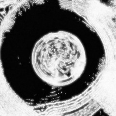 mf dirty +хайвей (clvr)