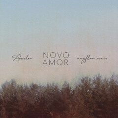 Novo Amor - Anchor (MayFlwr Remix)