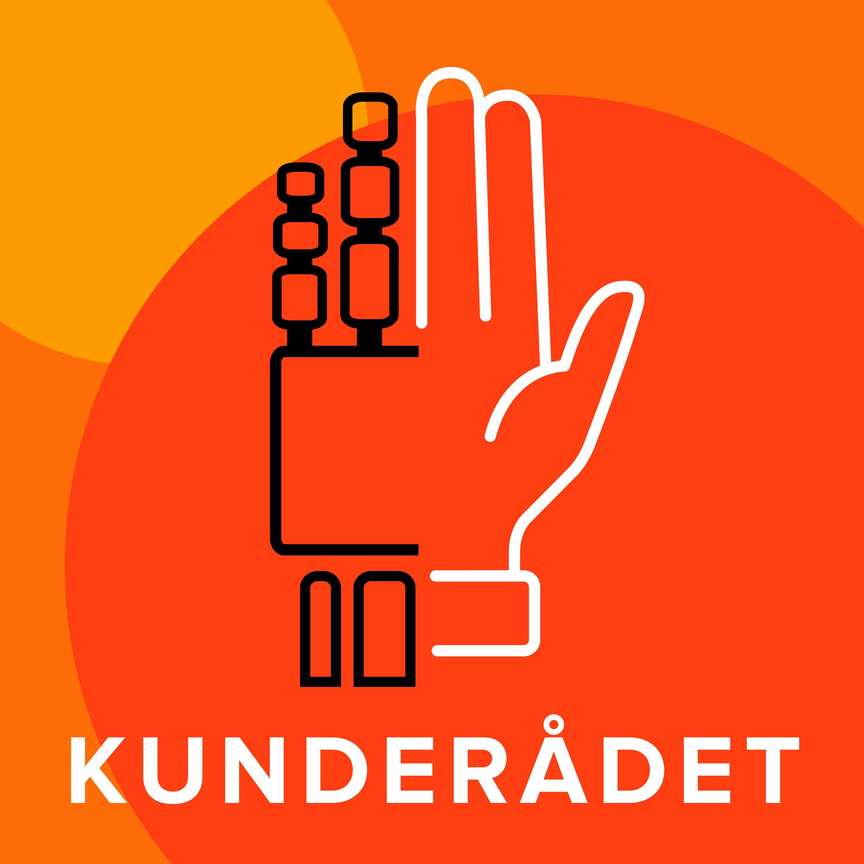 Kunderådet