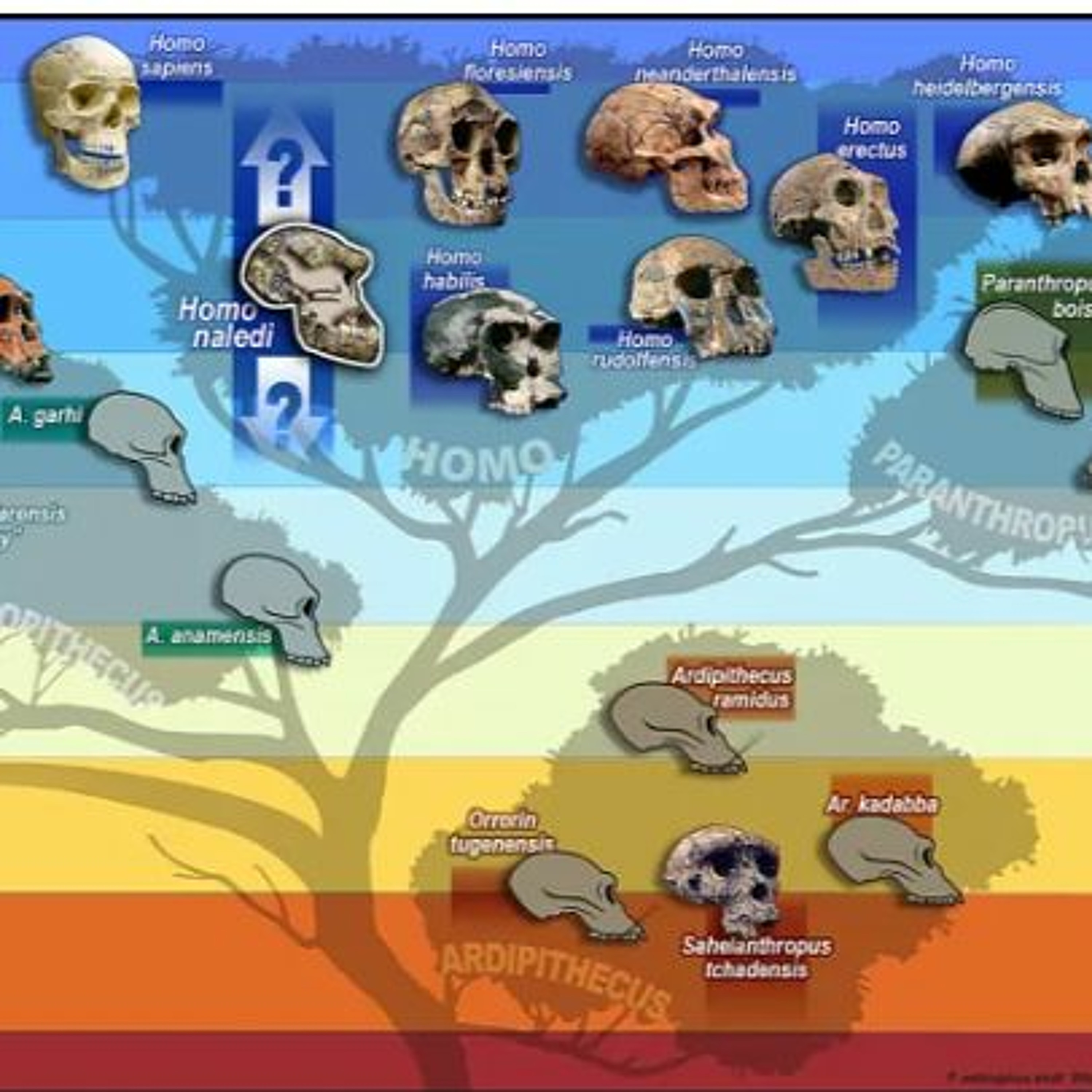 Those humans before Jesus