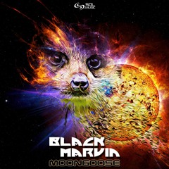 Black Marvin - Moongoose (Preview) [SOL MUSIC]