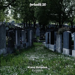 PREMIERE: Klaus Benedek - Tombstone (Siggatunez feels the Unknown Mix)