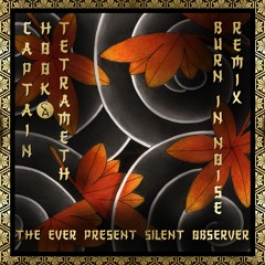 Captain Hook & Tetrameth - The Ever Present Silent Observer (Burn In Noise Remix) [Out Now]