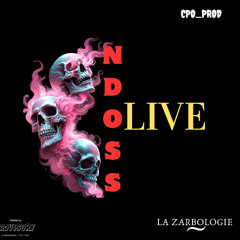 LA ZARBOLOGIE ~NDOSSLIVE ~N.A.V, PUTERIE MALBORO (Audio-music)