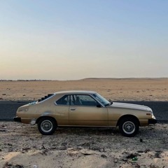 عدي الباشا - تدري بالفرقه حبيبي