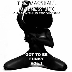 Mr.Marshall - Got To Be Funky... Vol.1