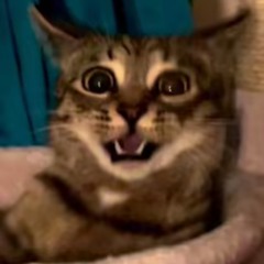 [SNIPPET] SMUCKERS [V5] (feat. Kanye West, Lil Wayne & Samantha Nelson) [CHERRY BOMB] (2013 - 2015)
