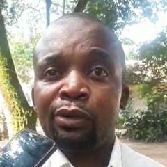 Guy Blanchard Dallou, IRSEN, Congo