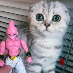 Super Sayian KiD Buu 9 (demo version)