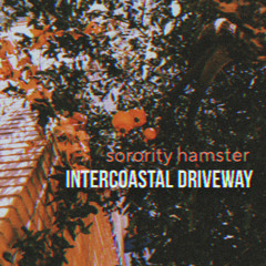 intercoastal driveway