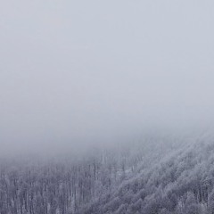 AMbiEnT-snOw