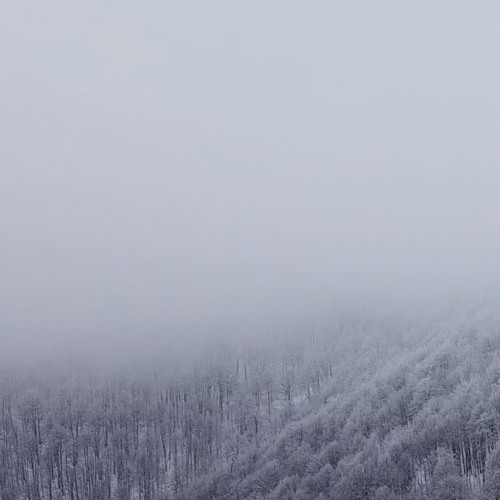 AMbiEnT-snOw