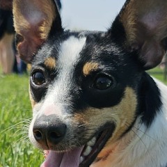 Tokage Ozu - New Project 2024-04-04 01_52.m4a