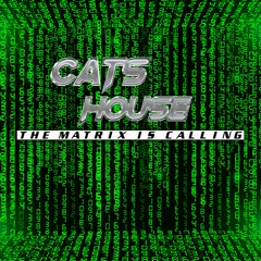 Cats house  - The Matrix is Calling